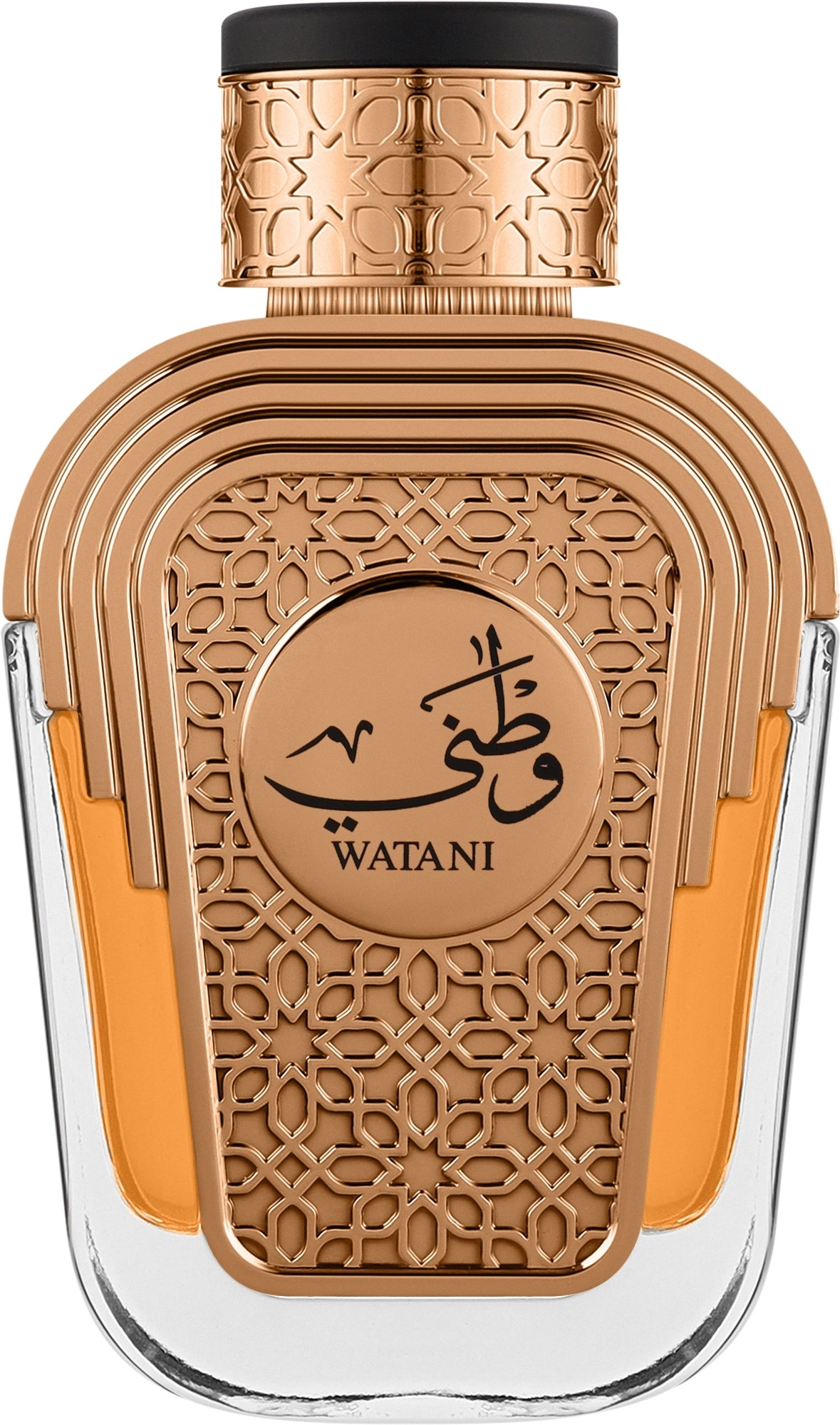Watani Intense Al Wataniah EDP 100ml